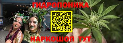 ГАЛЛЮЦИНОГЕННЫЕ ГРИБЫ Бердск