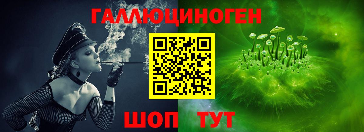 Псилоцибиновые грибы GOLDEN TEACHER  Псилоцибиновые грибы мухоморы  где купить   Ртищево  Вход с VPN 